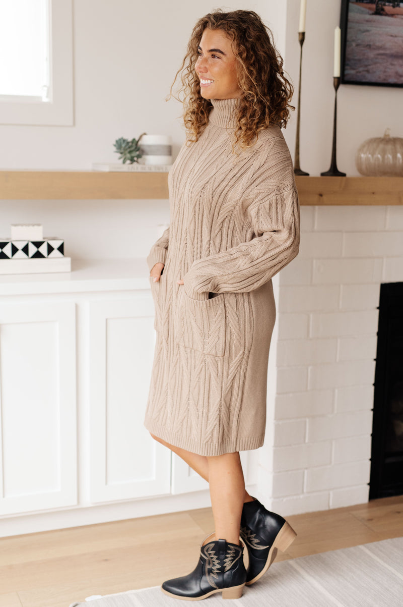 Bundled Beauty Turtleneck Sweater Dress Womens Ave Shops   