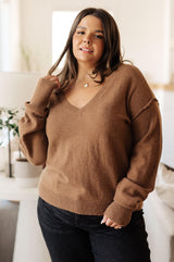 Back to Life V-Neck Sweater in Mocha Womens Ave Shops   