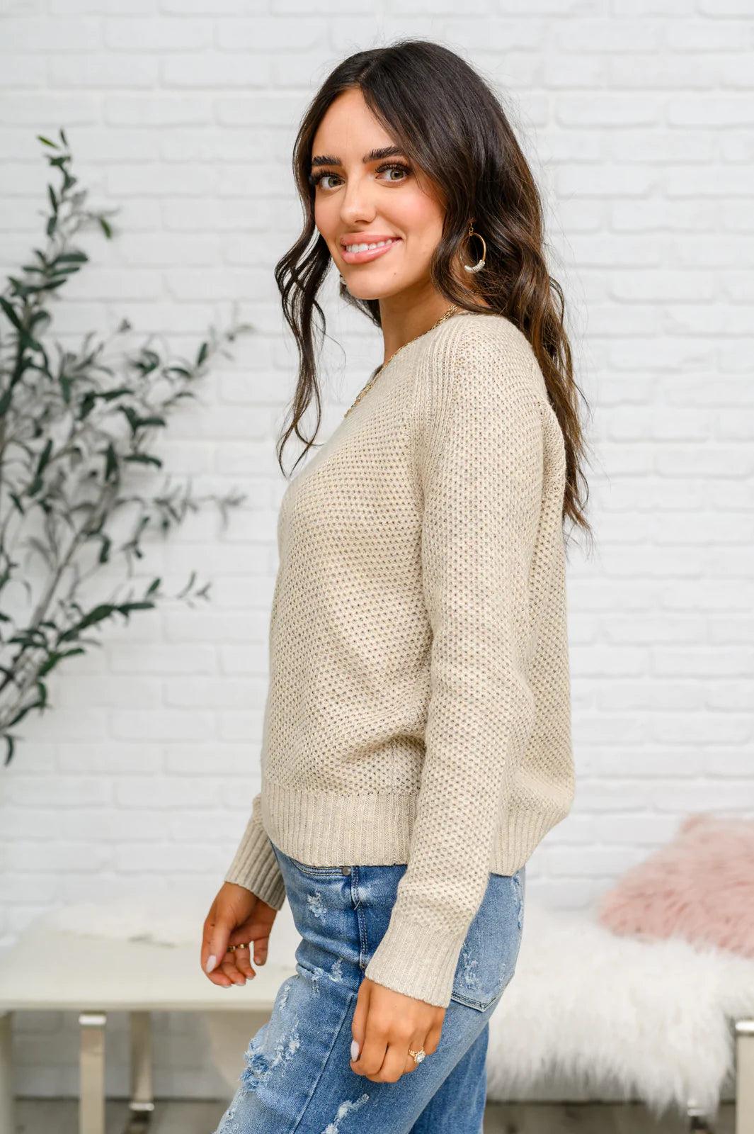 Chai Latte V-Neck Sweater in Oatmeal Womens Ave Shops   